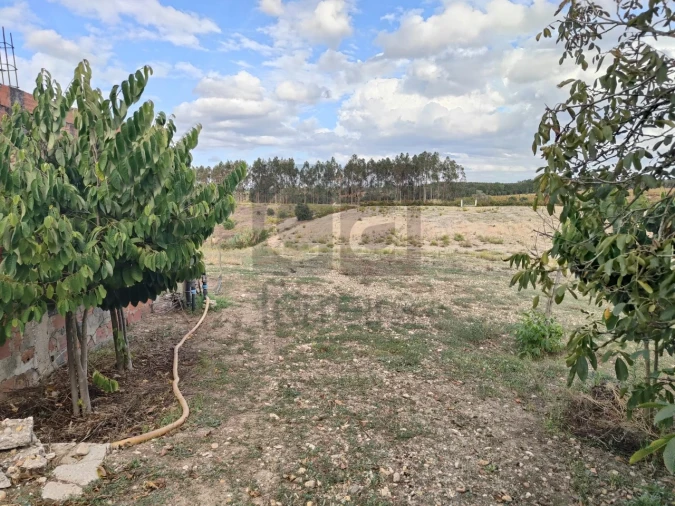 Moradia T2 para Venda em Alpiarça Foto 44