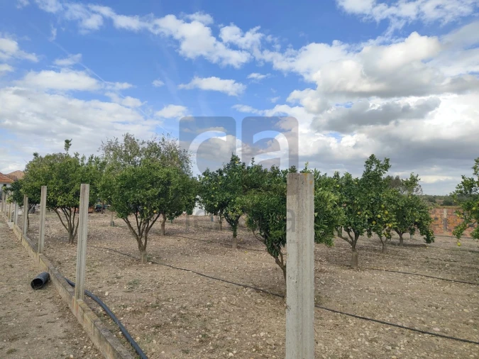 Moradia T2 para Venda em Alpiarça Foto 47