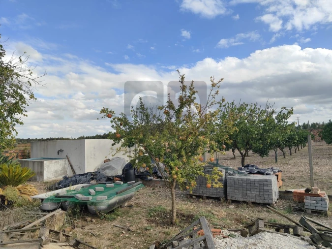 Moradia T2 para Venda em Alpiarça Foto 49