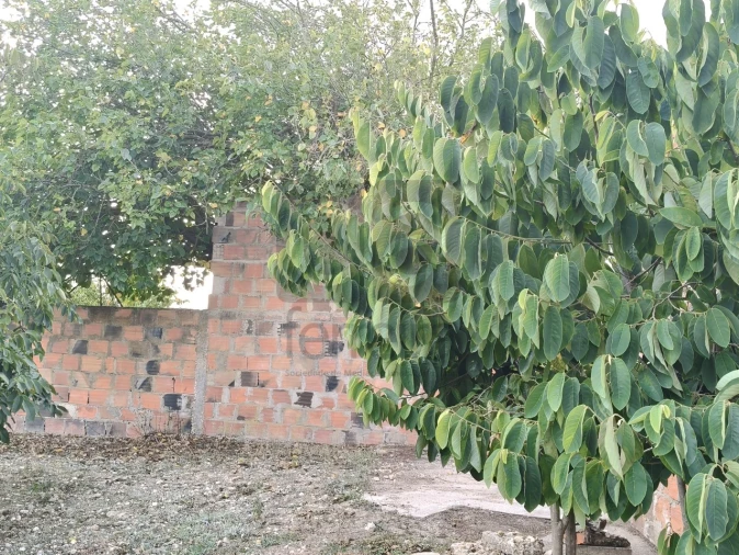 Moradia T2 para Venda em Alpiarça Foto 56