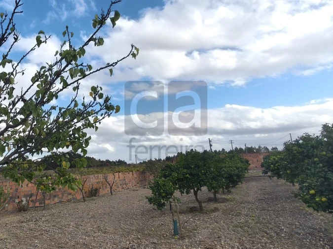 Moradia T2 para Venda em Alpiarça Foto 58