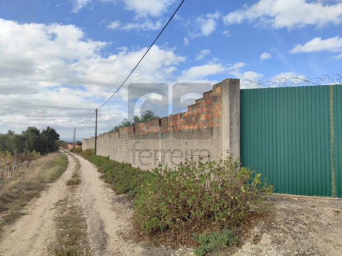 Moradia T2 para Venda em Alpiarça Foto 61