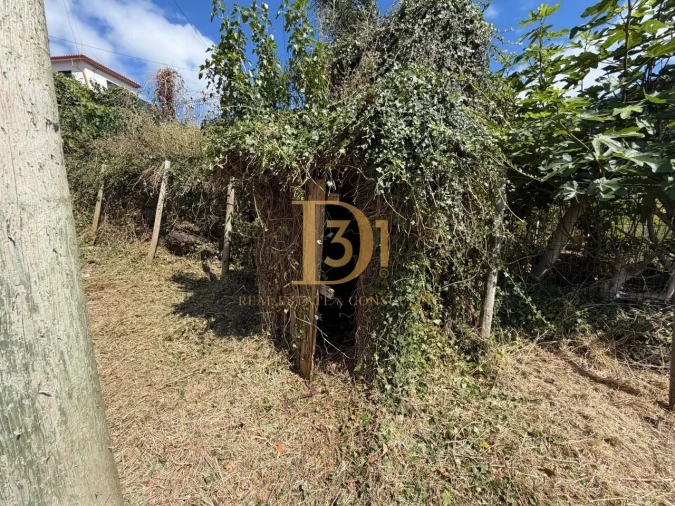 Moradia T2 para Venda em São Vicente Foto 20