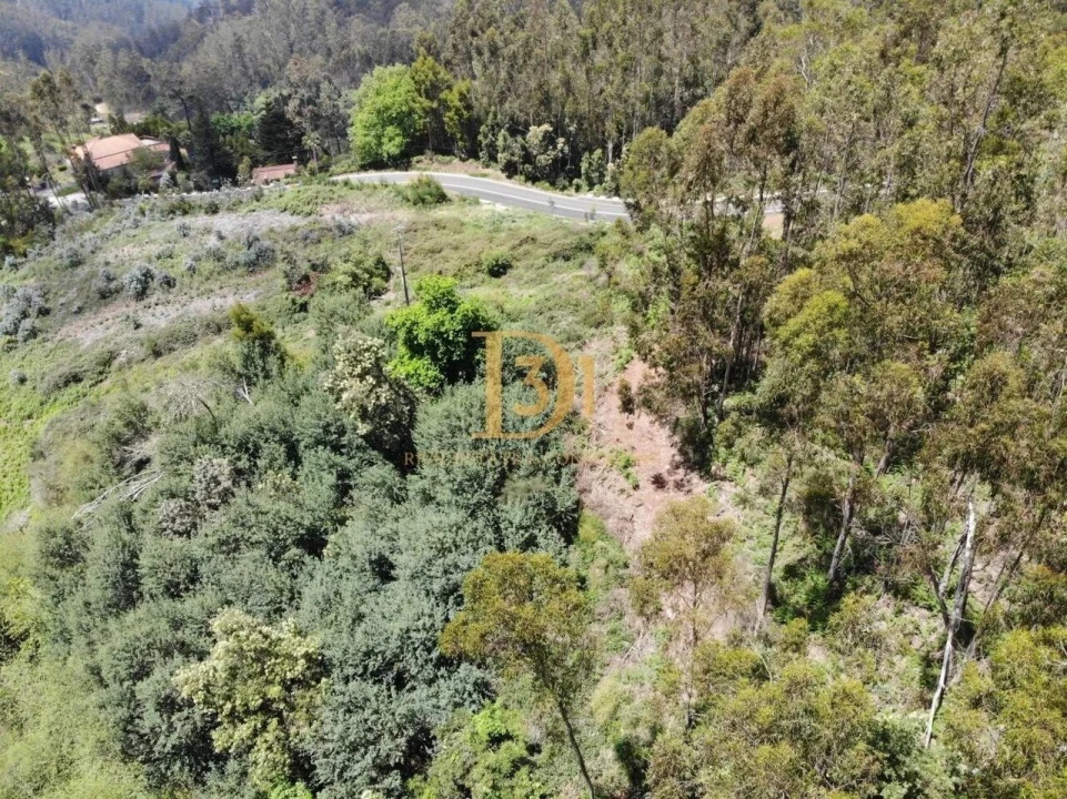 Terreno para Venda em Camacha Foto 1
