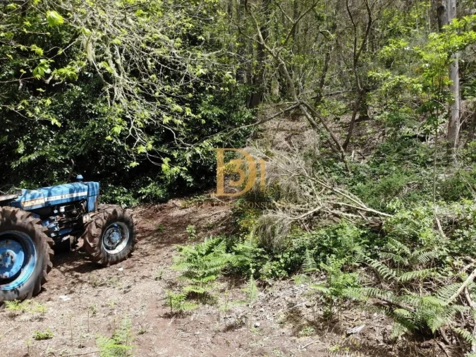 Terreno para Venda em Camacha Foto 3