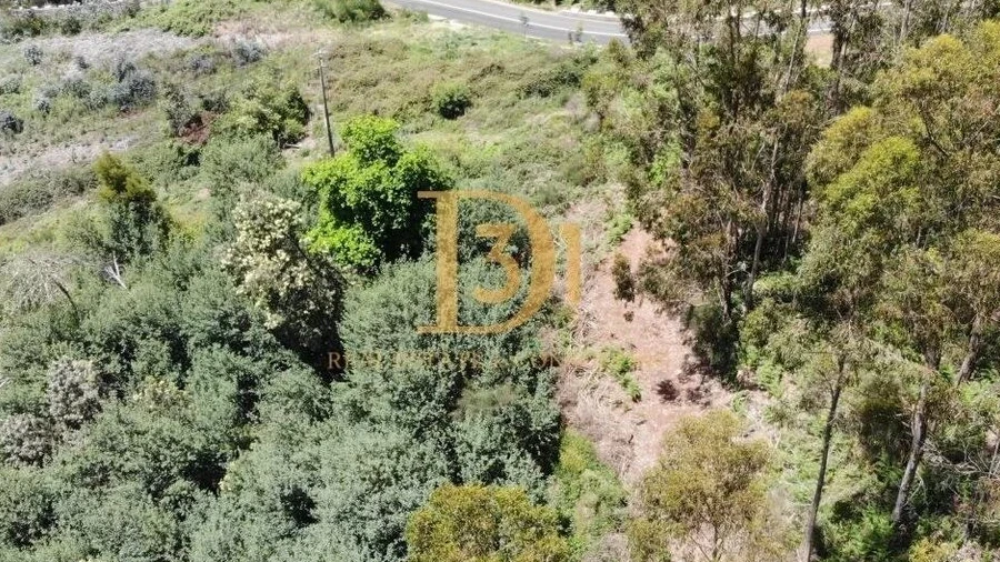 Terreno para Venda em Camacha