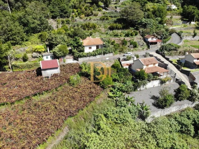 Terreno para Venda em São Vicente Foto 7