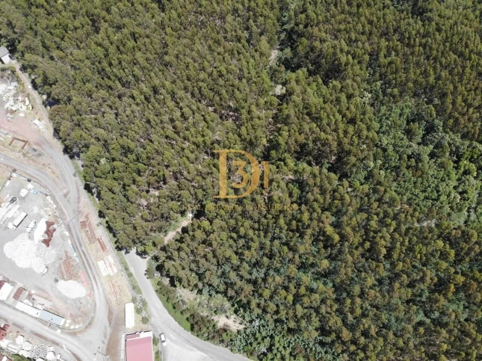 Terreno para Venda em Camacha Foto 2