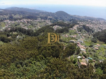 Terreno para Venda em Camacha