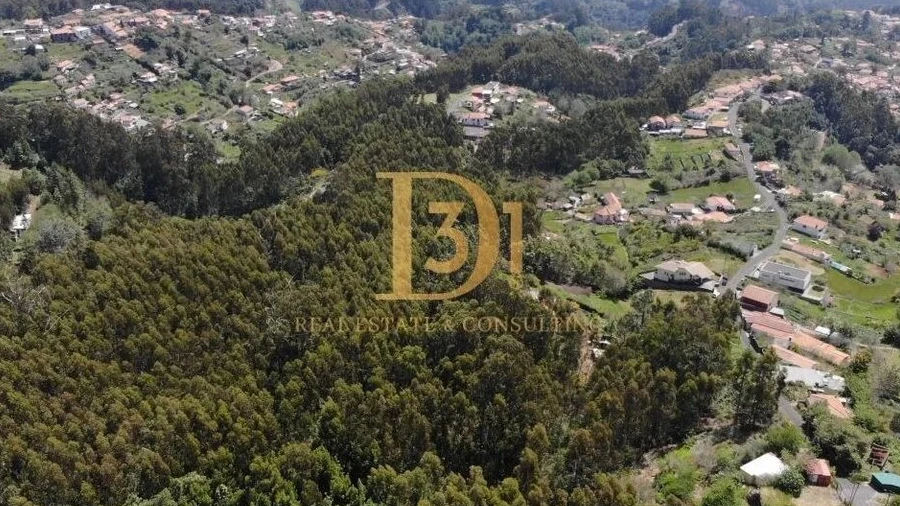 Terreno para Venda em Camacha