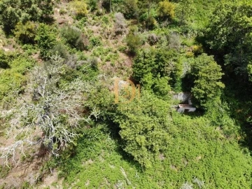 Terreno para Venda em Monte