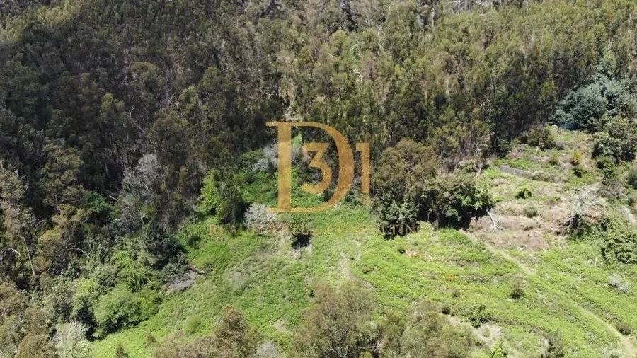 Terreno para Venda em Monte