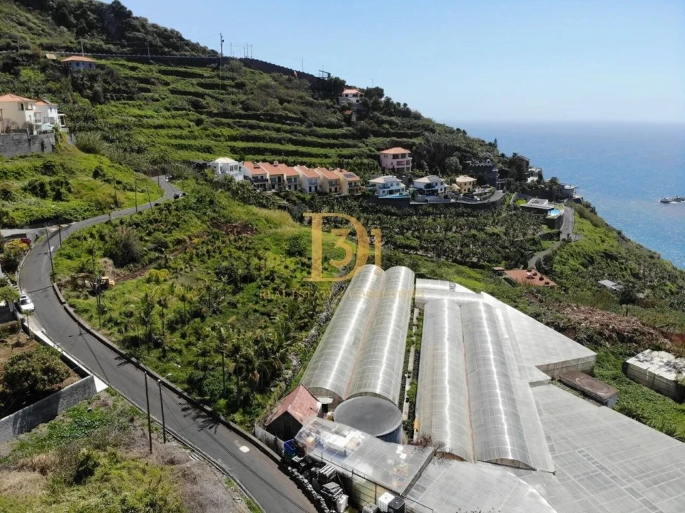 Terreno para Venda em Ribeira Brava Foto 15