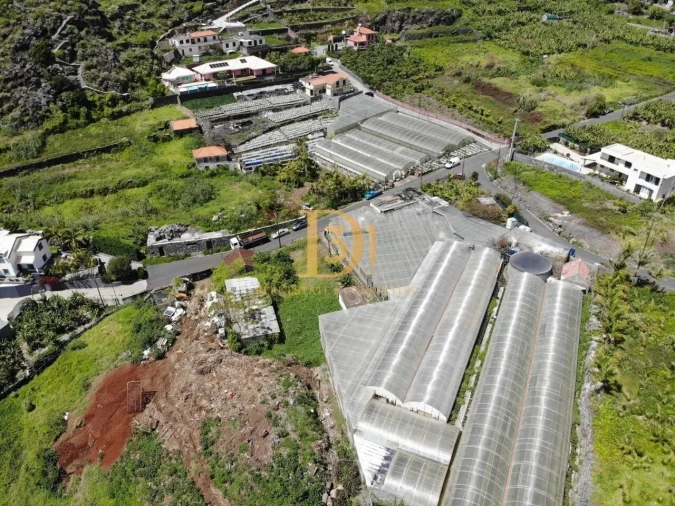 Terreno para Venda em Ribeira Brava Foto 14