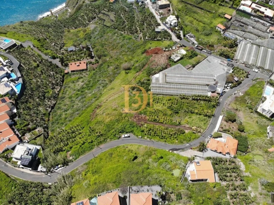 Terreno para Venda em Ribeira Brava Foto 3
