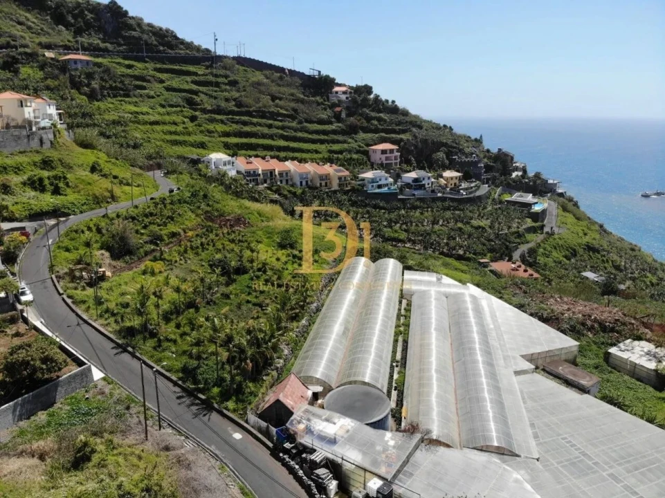 Terreno para Venda em Ribeira Brava Foto 17