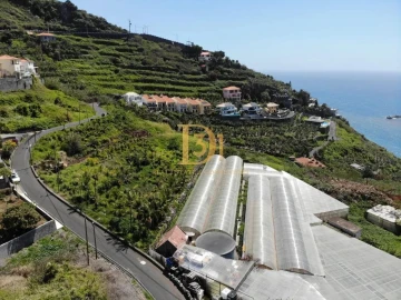 Terreno para Venda em Ribeira Brava