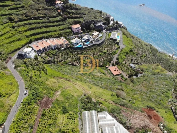 Terreno para Venda em Ribeira Brava Foto 18