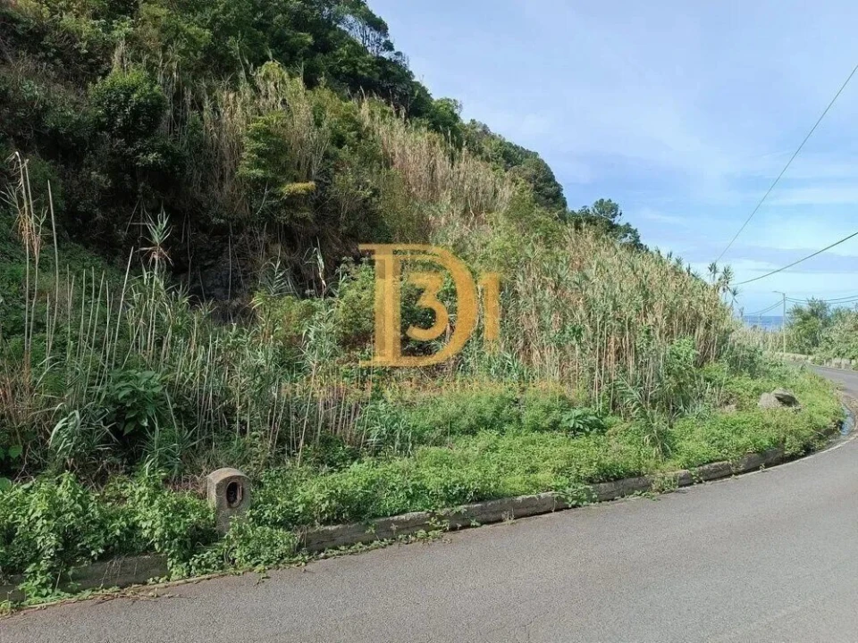 Terreno para Venda em São Jorge Foto 5