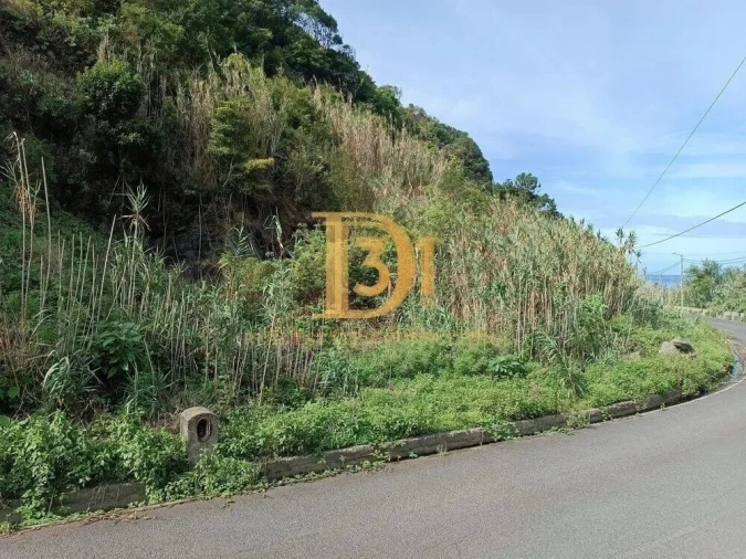 Terreno para Venda em São Jorge Foto 5
