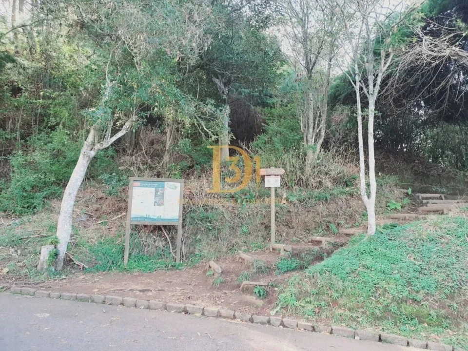 Terreno para Venda em Santo Antonio da Serra Foto 15