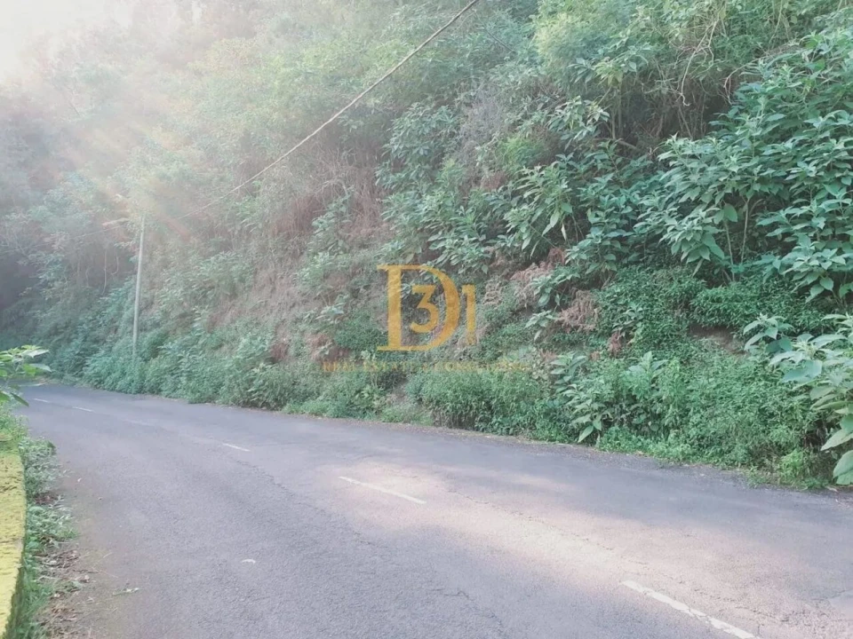 Terreno para Venda em Santo Antonio da Serra Foto 5