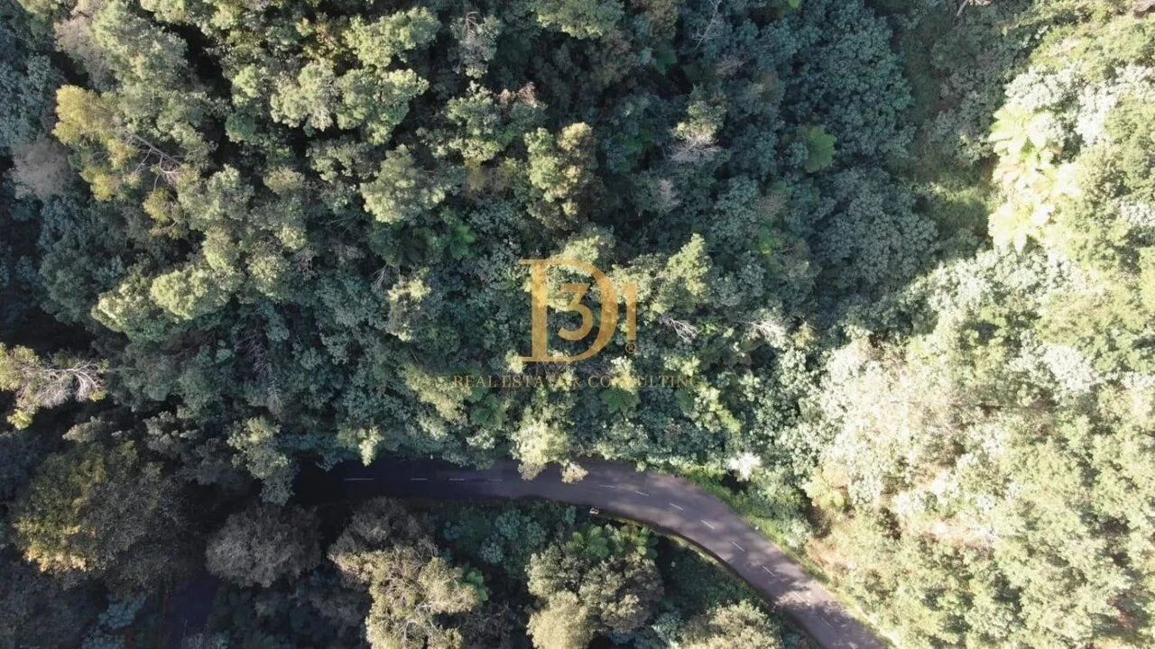 Terreno para Venda em Santo Antonio da Serra Foto 7