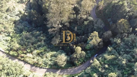 Terreno para Venda em Santo Antonio da Serra