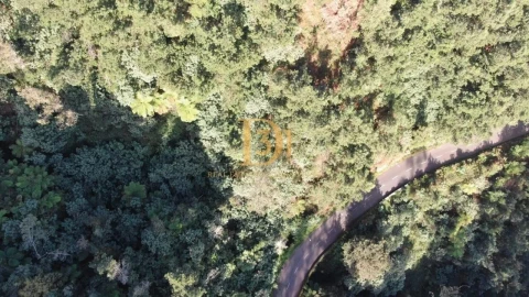 Terreno para Venda em Santo Antonio da Serra