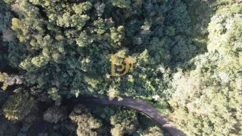 Terreno para Venda em Santo Antonio da Serra