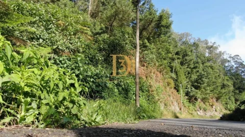 Terreno para Venda em Santo Antonio da Serra