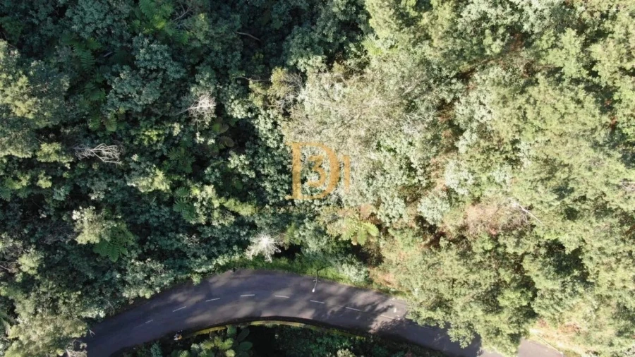 Terreno para Venda em Santo Antonio da Serra Foto 13