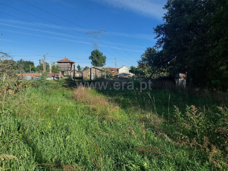 Terreno para Venda em Canedo, Vale e Vila Maior Foto 9