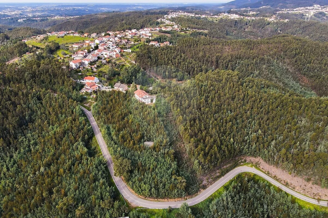 Loja para Venda em Torres do Mondego Foto 9