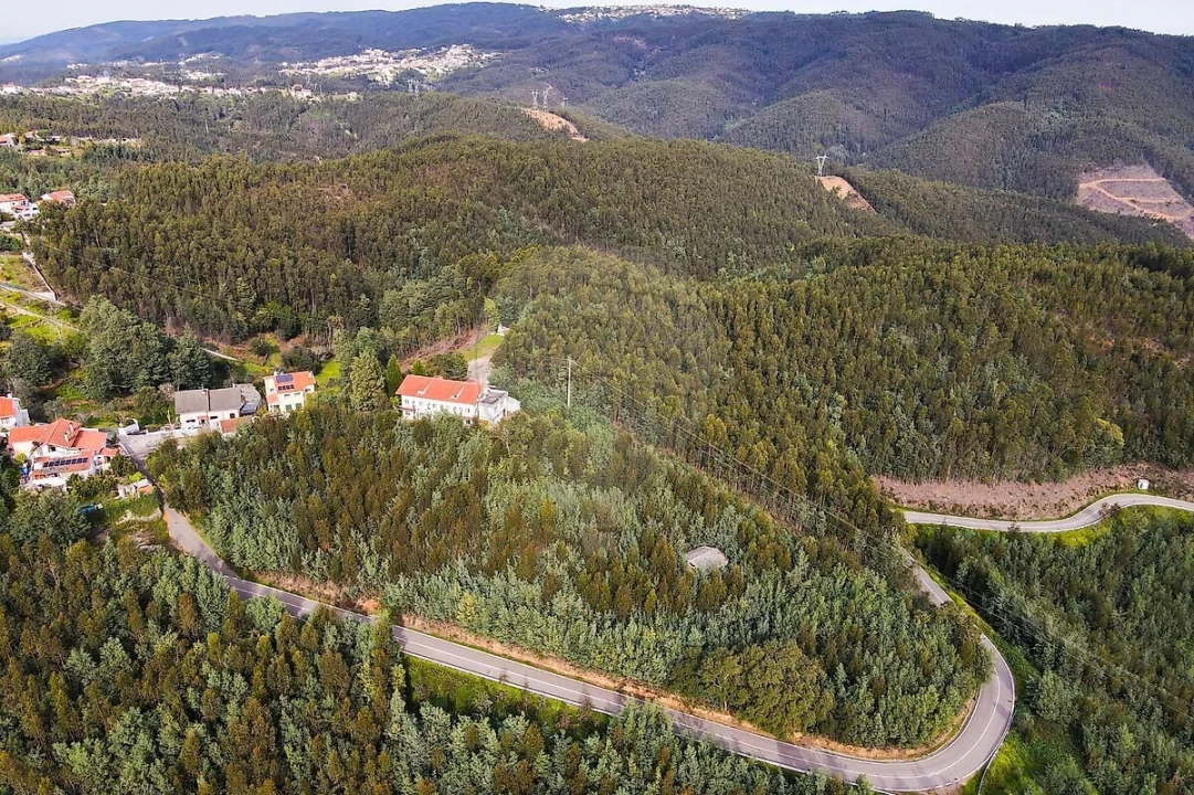 Loja para Venda em Torres do Mondego Foto 11