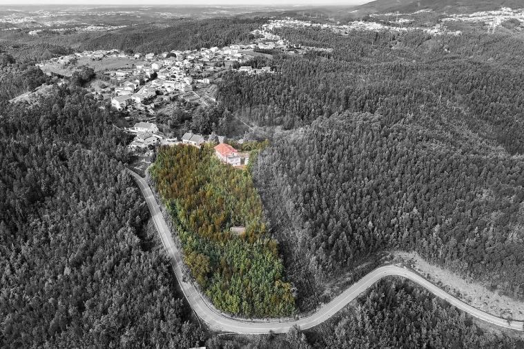 Loja para Venda em Torres do Mondego Foto 10
