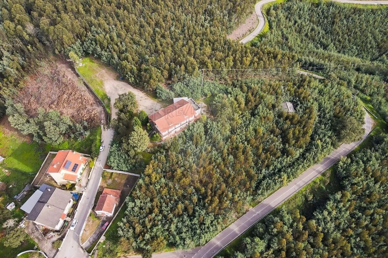 Loja para Venda em Torres do Mondego Foto 4