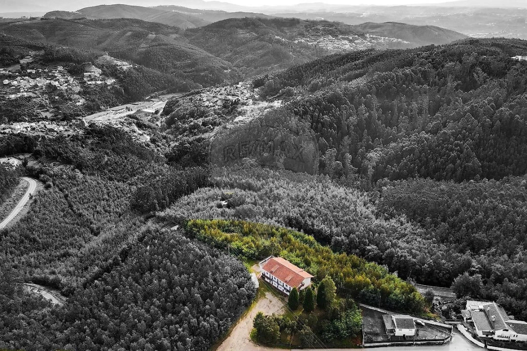 Loja para Venda em Torres do Mondego Foto 7