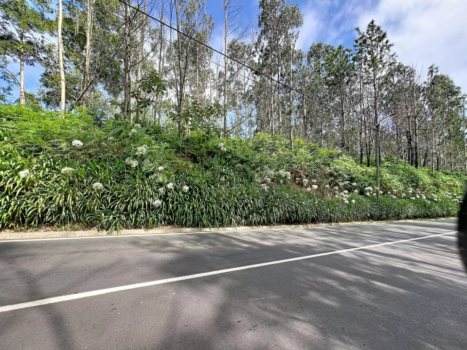 Terreno para Venda em Porto Moniz Foto 8