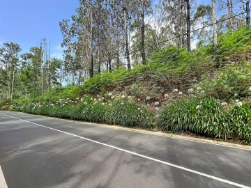 Terreno para Venda em Porto Moniz
