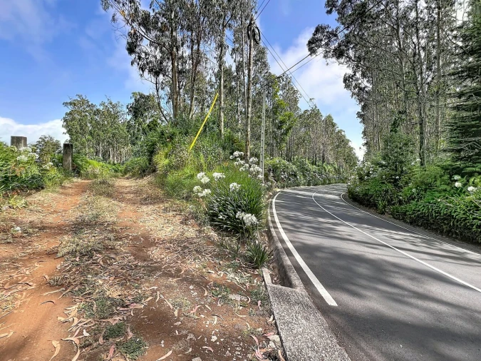 Terreno para Venda em Porto Moniz Foto 9