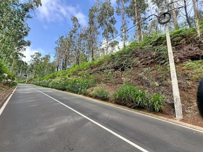 Terreno para Venda em Porto Moniz Foto 10
