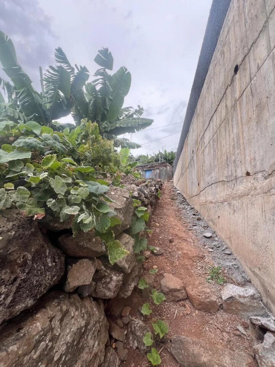 Terreno para Venda em Arco da Calheta Foto 4