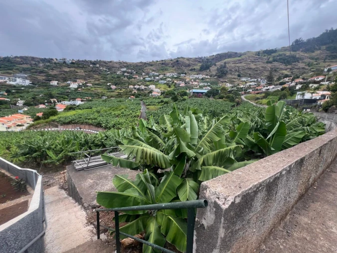 Terreno para Venda em Arco da Calheta Foto 7