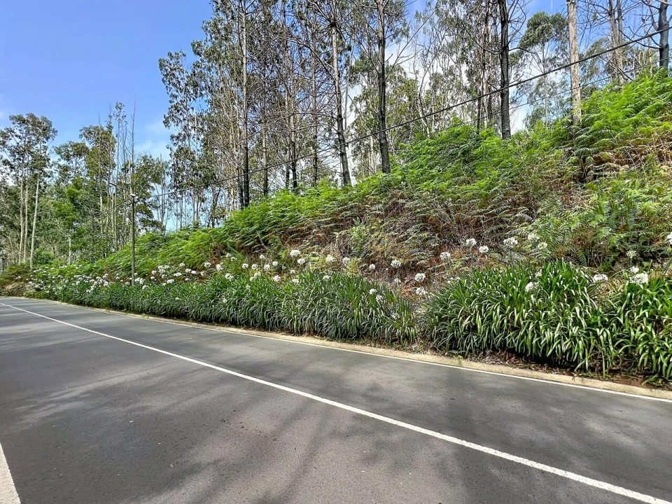 Terreno para Venda em Porto Moniz Foto 11