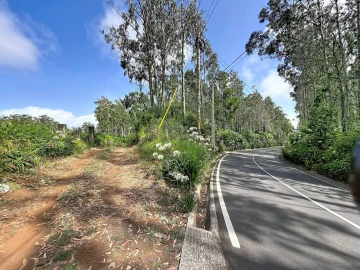 Terreno para Venda em Porto Moniz