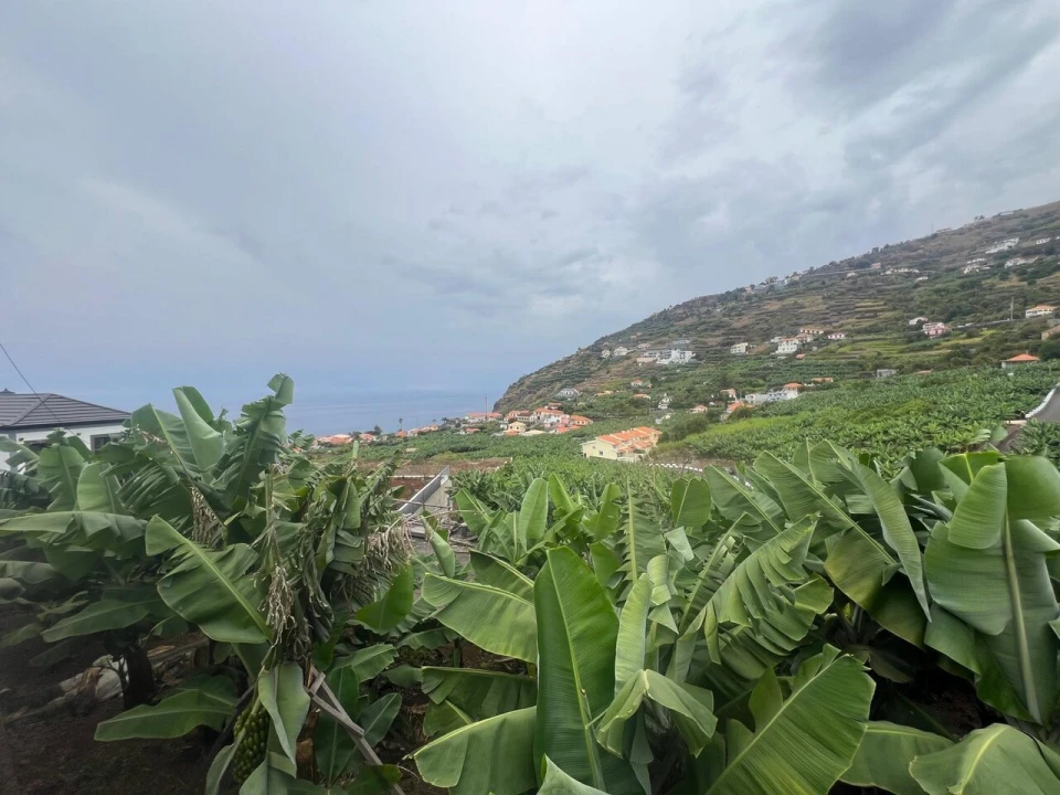 Terreno para Venda em Arco da Calheta Foto 2