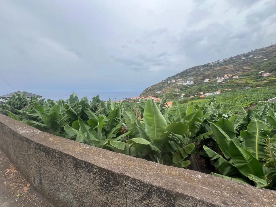 Terreno para Venda em Arco da Calheta Foto 3