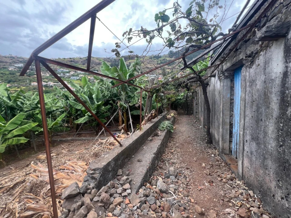 Terreno para Venda em Arco da Calheta Foto 8