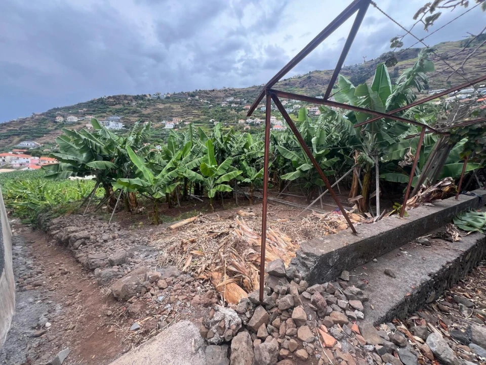 Terreno para Venda em Arco da Calheta Foto 9